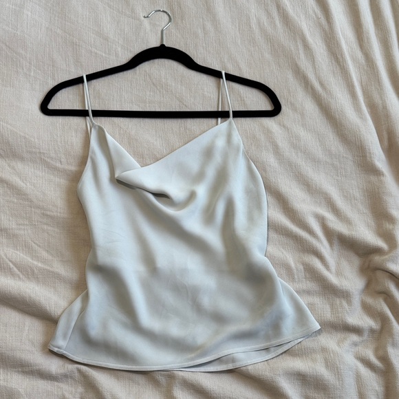 Babaton Tops - Babaton/Artitzia Cowl Tank